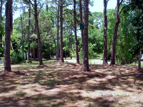 the backyard of the two RV Gypsies- for a week anyway