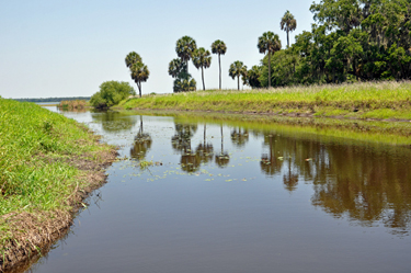 the beginning of the airboat tour at Myakka River State Park