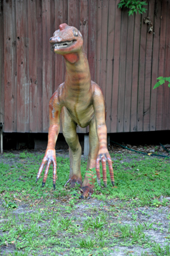 Pelecanimimus at Dinosaur World