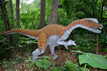 Liliensternus at Dinosaur World