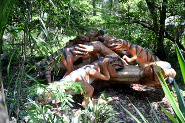 Deinonychus on Deinonychus Island