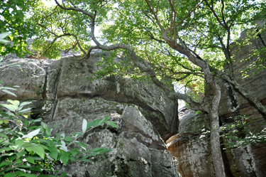 a rock at Rock City