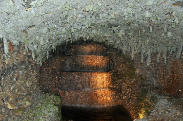 The ceiling inside Fairyland Caverns