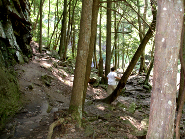 Alex on the trail