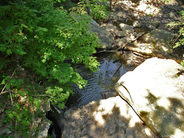 THE SECOND WATERFALL at Cloudland Canyon State Park