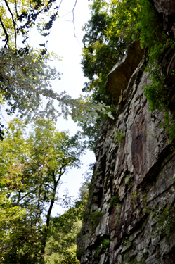 Looking up at the cliff