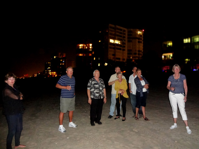 friends watching the fireworks