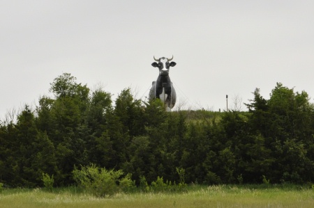 Salem Sue  in New Salem, North Dakota