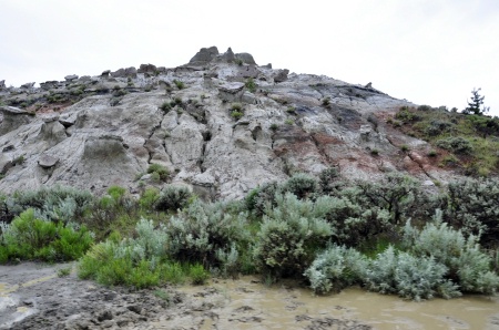 white rock formation with petrified wood