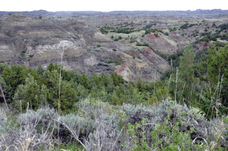 Badlands Overlook