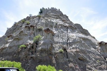 white rock formation with petrified wood