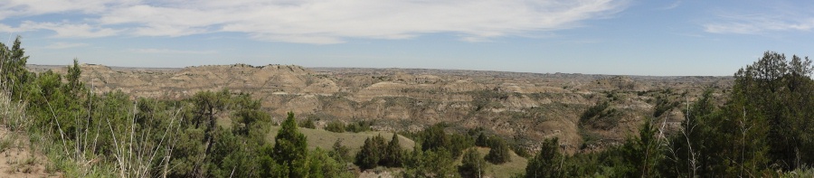 view from the Ridgeline Nature Trail