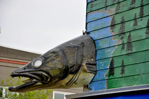 a big walleye at the Beaver House