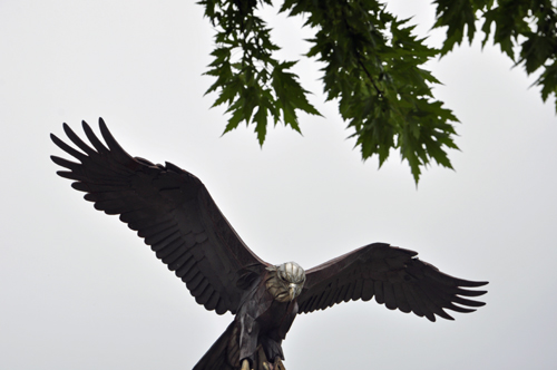 Eagle sculpture