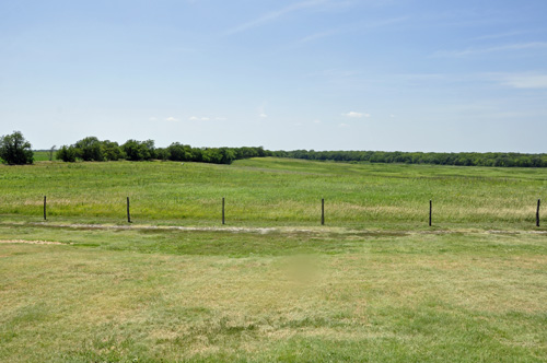 tall grass prairie and a barbed wire fence