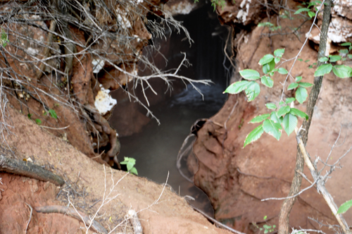 close-up of the cave