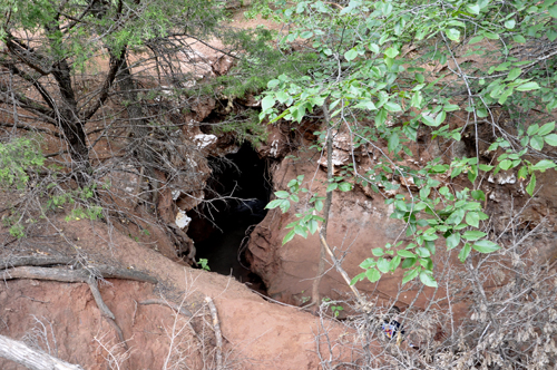 close-up of the cave