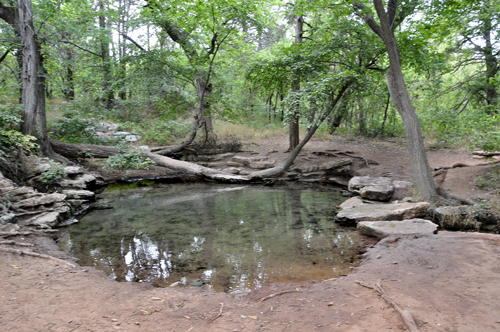 the pond as seen from the other side