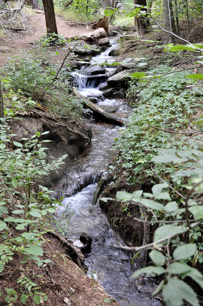 Three Springs Creek