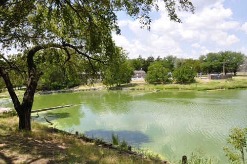 a pond with boiling springs