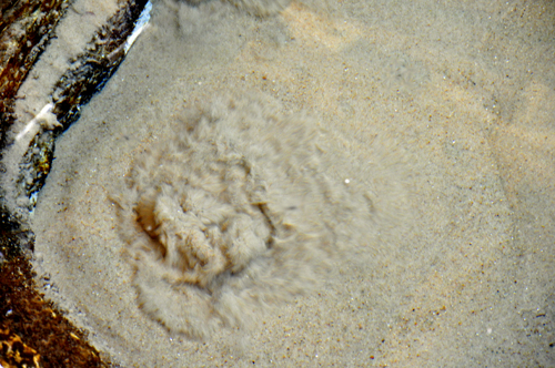 Boiling Springs bubbles