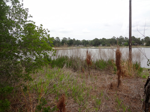 At the lake in Deland, Florida