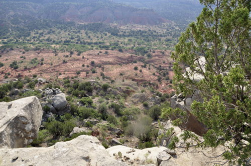 the Palo Duro Canyon