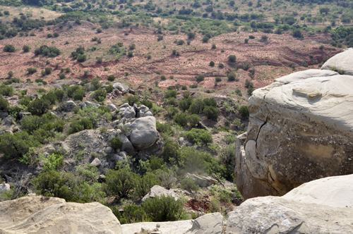 the Palo Duro Canyon