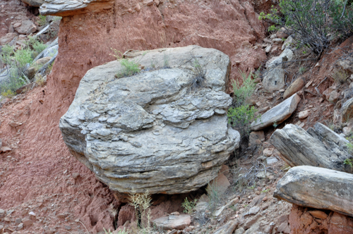 rocks at the bottom of the canyon