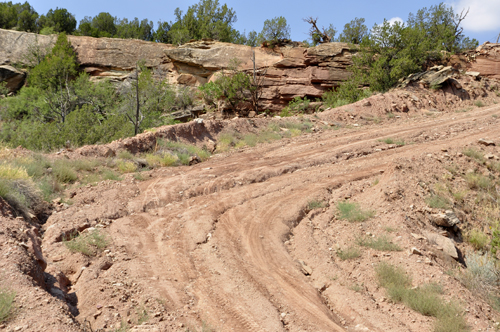 The road back up to the top 