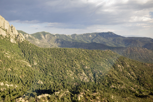 western face of the Sandias