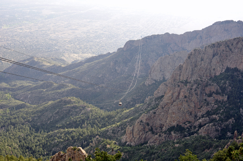 red rocks and tall trees on Sandia Peak