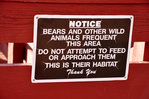 sign: bears and wild animals