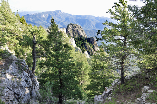 view from the top of the trail on Sandia Mountain