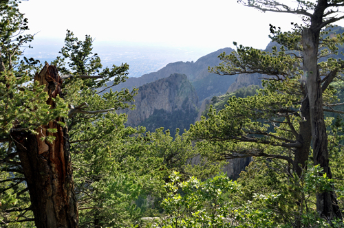 view from the top of the trail on Sandia Mountain