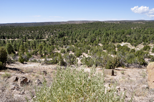 looking outward from the trail