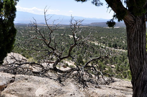 a view from the resting area