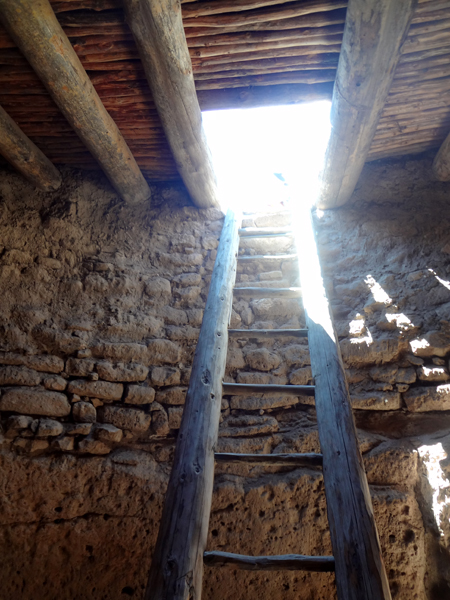 the ladder to exit the Community House