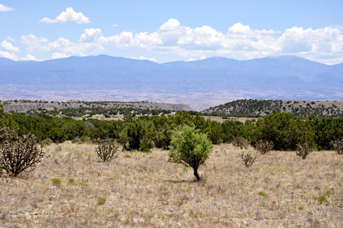 the Rio Grande Valley