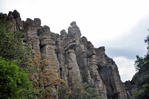 Organ Pipe Formation