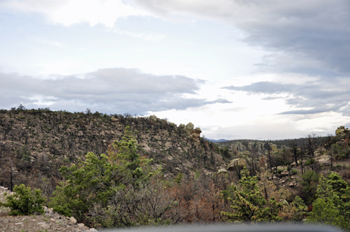 Chiricahua National Park