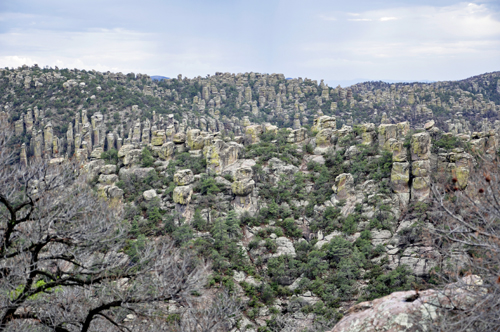 Chiricahua National Park