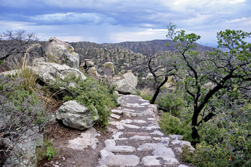 the Masssai Nature Trail