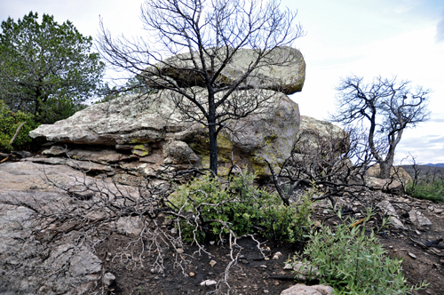 more amazing scenery at Chiricahua National Park