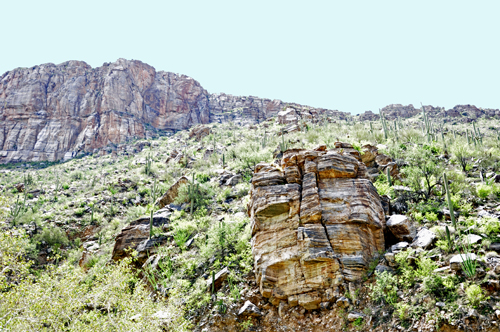 rock cliffs