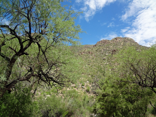 mountain at Sabino Canyon