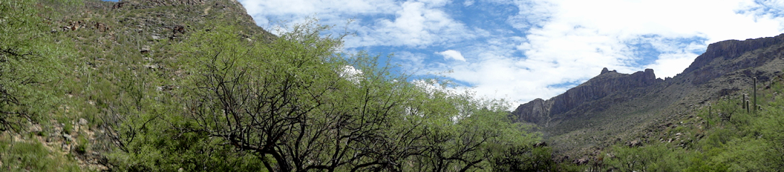 panorama in Sabino Canyon