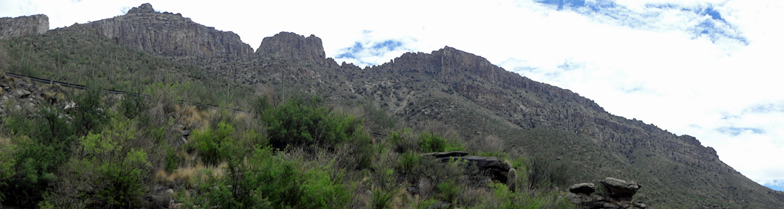 mountain and cacti