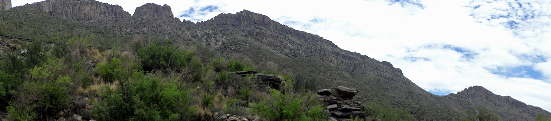 mountain and cacti