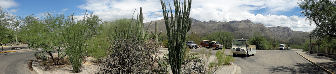 The parking lot at Sabino Canyon.